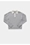 Regular Fit Polo Collar Plain Women's Gray Sweater - 5
