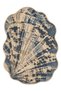 Sdt Sea Shell Patterned Modern Woven Base Decorative Carpet Sdtamour4156