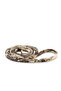 Lb7073-M-Ca Medium Hard Exercise Rubber-Loop Band