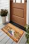 Cat Doormat, Digital Printed Cat Door Mat, Indoor Doormat