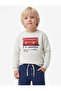 Long Sleeve Crew Neck Print Detail Sweatshirt