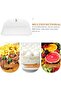 Acrylic Serving Tray with Lid Clear Buffet Tray for Dessert Fruit and Dinner Accessory Hou - 3