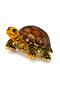 Turtle Acetate Latch Buckle