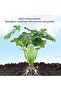 50ml Organic Rooting Hormone for Cuttings, Plant Rooting Solution Liquid Booster, Fast Acting Root E - 4