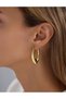 Steel Curved Oval Earrings