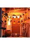 Pumpkin String Lights,Yakiter lumineuse Halloween Lanterne Potiron 3m 20LEDs, String Lights for Part - 6