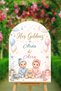 Twin Baby Boy and Girl Welcome Themed Welcome Board with Arch 50X70Cm
