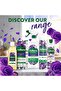 Midnight Blooms Scented Disinfectant Spray, Multi-Purpose Cleaner & Deodorizer, Disinfectant Room Spray for Soft & Hard Surfaces Kills 9 - 7