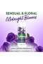 Midnight Blooms Scented Disinfectant Spray, Multi-Purpose Cleaner & Deodorizer, Disinfectant Room Spray for Soft & Hard Surfaces Kills 9 - 6