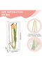 Clear PVC Plastic Gift Box Set, 10 Pcs Transparent Rectangle Candy Boxes with White Borders and Cord - 2
