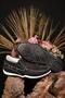 Men's Summer Shoes 100% Genuine Leather Anti-Sweat Comfort Orthopedic Sole Comfortable Ultra Light Casual Shoes - 4