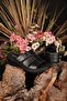 Women's Summer Anatomical Orthopedic Genuine Leather Comfortable Lightweight Padded Sole Slippers Stylish and Good Looking - 2