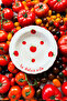 X Bengi Kurtcebe Pomodoro Stoneware 4-Piece Dinner Plate Set 23 cm - 4