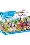 Carriage Ride 71846 - 2