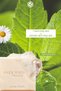 Solid Shower Gel - Moisturizing Refreshing Verbena Daisy -Sls, Sles Free, Vegan - 2