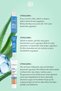 Hydra Water Plump 3-Piece Moisture Care Set - Light Medium - Serum 30 ml & Eye Cream 15 ml & Bb Cream 40 ml - 3