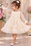 Girl's Seasonal Rose Tulle Sleeves Princess Evening Dress Birthday Party Special Occasion Dress