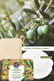 Solid Soap - Refreshing Olive Orange -Sls, Sles Free, Vegan-80Gr - 2
