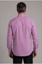 Lila Regular Fit Cotton Pocketless Long Pasha Collar Shirt - 2