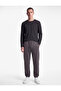 Cotton Crew Neck Basic Long Sleeve T-Shirt