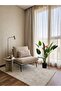 Strelitzia Plant - 4