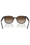 Rb4461D 710 13 64 Unisex Sunglasses - 5