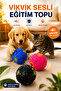 Ultra Durable Vikvik Sound Ball for Cat and Dog Training, Hard-Shell Toy