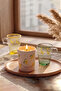 Mimosa Stackable 3-Piece Gift Set 120 Cc / 110 Gr - 2
