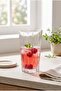 Nessie Soft Drink Glass 340 Cc - 3