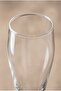 Craft Wheat Beer Glass 440 Cc - 5