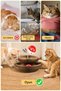 Interactive Accordion Cardboard Cat Toy with Rattles and Magnets Cat Scratching Toy - 3