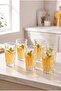 6-Pack Nessie Soft Drink Cups