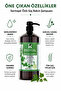 Ivy Extract Care Shampoo 1000 ml - 2