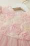 Rose Detailed Bowknot Baby Evening Dress - 6
