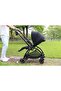 Eagle stroller-Black - 3