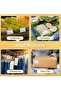 M120 Label MakerPrinter Bluetooth Thermal Label Maker Machine 2 Inch 50mm Barcode Label Prin - 3