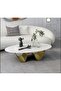 Modern Coffee Table Jaya