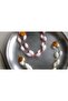 Traditional Kaapas Mala – Pure Cotton Garland for Deity Idols (Kapaas ki Mala/Gejjevastra-16pcs-1 Pkt)