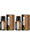 Magnetic Wooden Planet Aroma Diffuser – Saturn-Inspired Passive Essential Oil Diffuser for Car & Desk – Includes Free 10ml Essential Oil (Lavender, Jasmine, or Sandalwood) - 5
