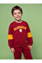Esvab • Modern & Distinctive Licensed Printed Boys' Thick Sweatshirt