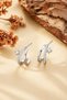 Silver Color Zircon Stone Double Hoop Women's Earrings - 2