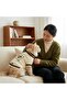 Lion Cream Sweater for Cat and Dog - 2
