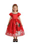 Christmas Girl's Printed Santa Dress