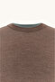 Men's Regular Fit Round Collar Woven Fabric Long Sleeve Brown Sweater - 6