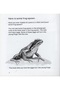 Tadpole And Frog - Back And Watts - 2