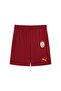 785023-01 Puma Gs 26-27 Men's Shorts and Capri Red