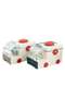 Portable Medicine Storage Box – Healthcare First Aid Organizer - 2