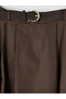 Brown A-Line Flared Skirt with Belt at the Waist - 7