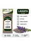 LAVANTA 40 GR