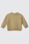 Baby Boy Crew Neck Sweatshirt with Print Detail in Beige